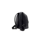 ALDO-LADIES-HANDBAGS-CHARI