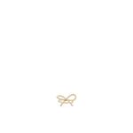 ALDO-LADIES-JEWELRY-BOWBELLI