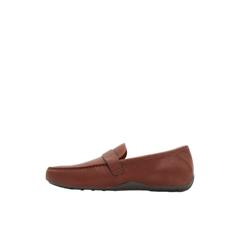 ALDO-ZAP-REGGIO