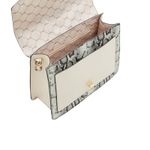 ALDO-LADIES-HANDBAGS-WINTERCHERRY