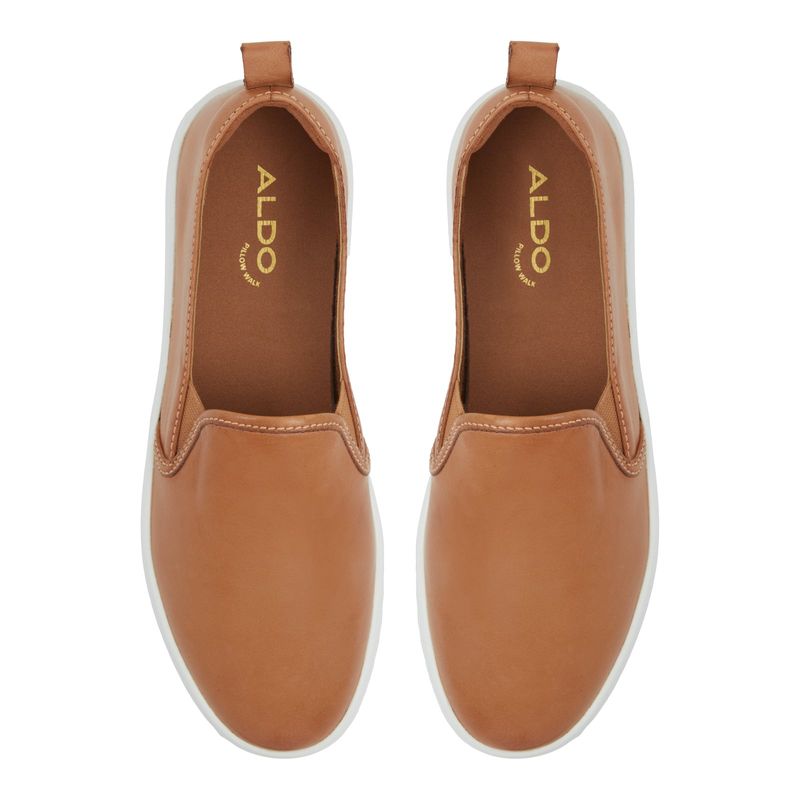 ROOLLY251.5.jpg