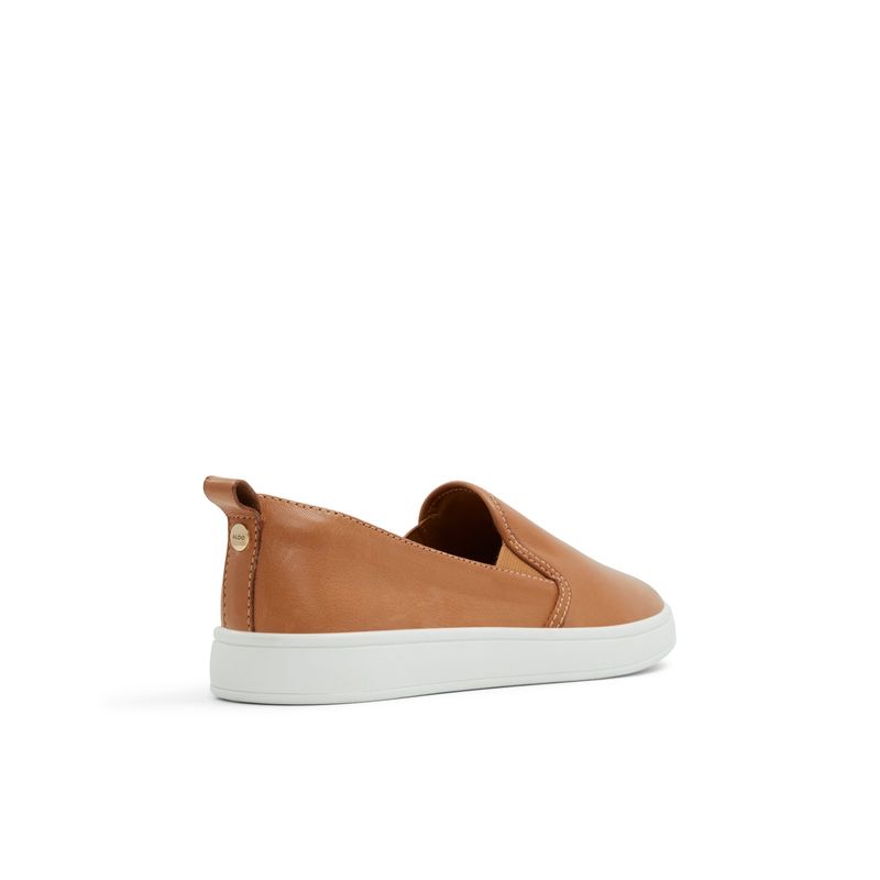 ROOLLY251.1.jpg