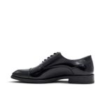 TOZZI001.2