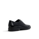TOZZI001.1