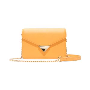 ALDO ACC CARTERA WILLAM